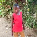 ‎Maï-Ndombe : un enfant de 8 ans meurt après une chute d’un papayer