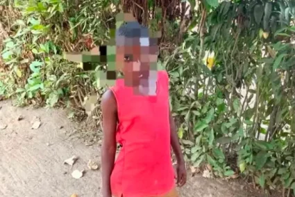 ‎Maï-Ndombe : un enfant de 8 ans meurt après une chute d’un papayer