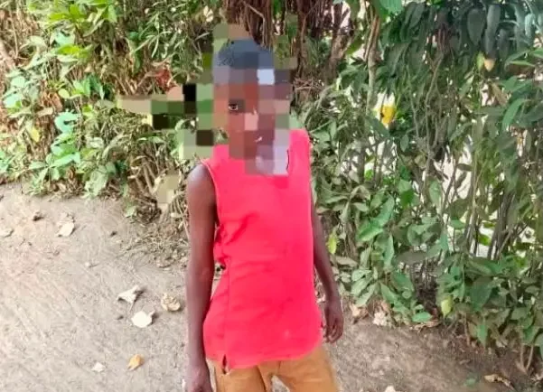 ‎Maï-Ndombe : un enfant de 8 ans meurt après une chute d’un papayer