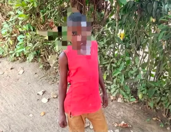 ‎Maï-Ndombe : un enfant de 8 ans meurt après une chute d’un papayer