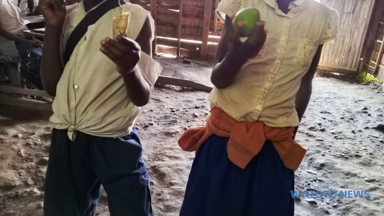 Sud-Kivu : à Kalehe, la Nouvelle Société civile alerte sur les conditions précaires des écoliers de Mbinga Nord