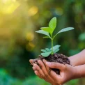 Bukavu: les jeunes en première ligne pour la protection de l’environnement