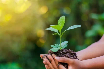 Bukavu: les jeunes en première ligne pour la protection de l’environnement