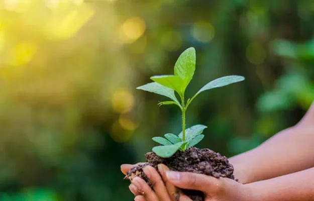 Bukavu: les jeunes en première ligne pour la protection de l’environnement