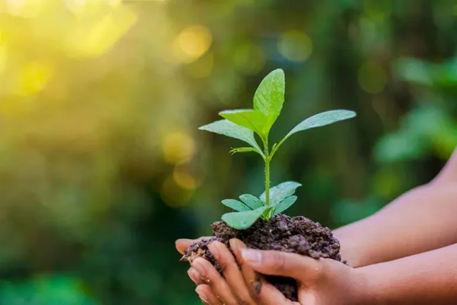 Bukavu: les jeunes en première ligne pour la protection de l’environnement