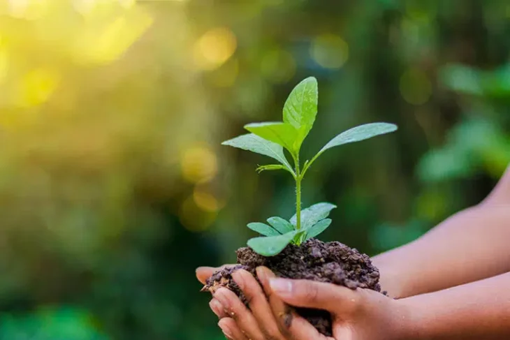 Bukavu: les jeunes en première ligne pour la protection de l’environnement