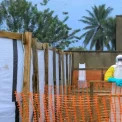 Ebola : 11 personnes guéries quittent le CTE de Katwa à Butembo
